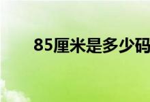 85厘米是多少碼（85厘米是幾尺幾）