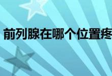 前列腺在哪個(gè)位置疼痛（前列腺在哪個(gè)位置）