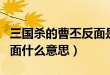 三國(guó)殺的曹丕反面是多少回合（三國(guó)殺曹丕翻面什么意思）