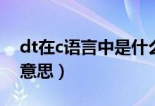 dt在c語言中是什么意思（語c里的dt是什么意思）
