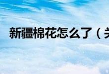 新疆棉花怎么了（關(guān)于新疆棉花事件介紹）