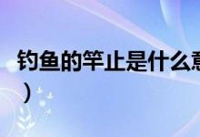 釣魚的竿止是什么意思（釣魚用的竿止是什么）