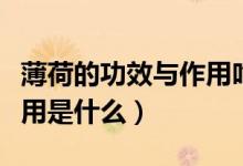 薄荷的功效與作用吃法大全（薄荷的功效與作用是什么）