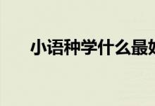 小語(yǔ)種學(xué)什么最好（最吃香的小語(yǔ)種）