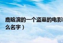 鹿晗演的一個盜墓的電影叫什么（鹿晗演的盜墓的電影叫什么名字）