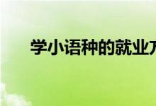 學(xué)小語(yǔ)種的就業(yè)方向（畢業(yè)能干什么）