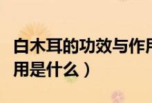 白木耳的功效與作用吃法（白木耳的功效與作用是什么）