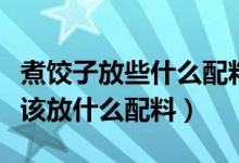 煮餃子放些什么配料好吃（餃子怎么煮才好吃該放什么配料）