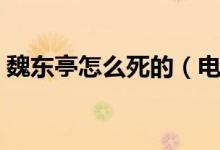 魏東亭怎么死的（電視劇里魏東亭怎么死的）