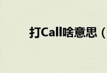 打Call啥意思（打call意思是什么）