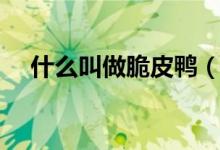 什么叫做脆皮鴨（什么叫做脆皮鴨文學）