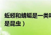 蚯蚓和蜻蜓是一類(lèi)嗎（蚯蚓蝸牛蜈蚣蜻蜓哪個(gè)是昆蟲(chóng)）