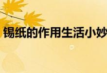 錫紙的作用生活小妙招（錫紙的作用和用途）