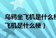 烏鴉坐飛機是什么梗這個梗怎么來的（烏鴉坐飛機是什么梗）