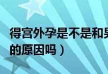 得宮外孕是不是和男方有問題（宮外孕是男方的原因嗎）