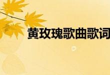 黃玫瑰歌曲歌詞（黃玫瑰歌曲介紹）