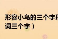 形容小鳥的三個(gè)字形容詞（什么的小鳥填形容詞三個(gè)字）
