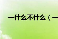 一什么不什么（一什么不什么成語精選）