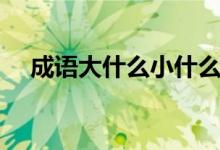 成語大什么小什么（成語大什么小什么）
