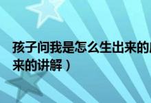 孩子問我是怎么生出來的應該如何回答（解答孩子如何生出來的講解）