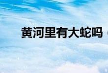 黃河里有大蛇嗎（黃河里有大型魚嗎）