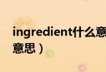 ingredient什么意思（英語ingredient什么意思）
