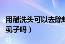 用醋洗頭可以去除螨蟲嗎（用醋洗頭可以去除虱子嗎）