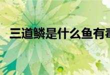 三道鱗是什么魚有毒嗎（三道鱗有沒有毒）