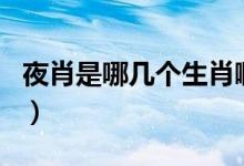 夜肖是哪幾個(gè)生肖?。ㄈ招ず鸵剐な悄膸讉€(gè)肖）