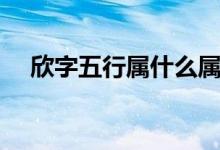 欣字五行屬什么屬性（欣字五行屬什么）