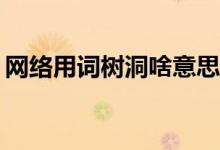 網(wǎng)絡(luò)用詞樹洞啥意思（網(wǎng)絡(luò)用詞sd什么意思）