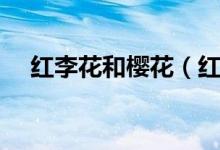 紅李花和櫻花（紅葉李花與櫻花的區(qū)別）