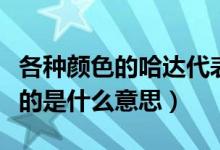 各種顏色的哈達代表什么意思（哈達顏色代表的是什么意思）