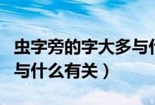 蟲字旁的字大多與什么相關（蟲字旁的字大多與什么有關）