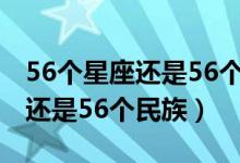 56個(gè)星座還是56個(gè)民族什么效應(yīng)（56個(gè)星座還是56個(gè)民族）