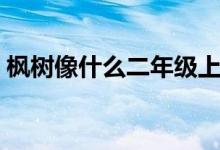 楓樹像什么二年級(jí)上冊(cè)（楓樹像什么比喻句）
