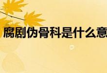 腐劇偽骨科是什么意思（腐文骨科什么意思）