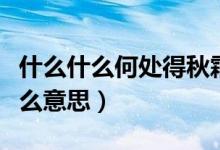 什么什么何處得秋霜（何處得秋霜的秋霜是什么意思）