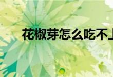花椒芽怎么吃不上火（花椒芽怎么吃）