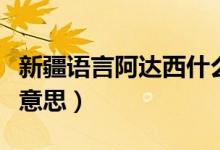 新疆語(yǔ)言阿達(dá)西什么意思（新疆話阿達(dá)西什么意思）