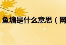 魚塘是什么意思（網(wǎng)上流行魚塘是什么意思）