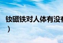 釹磁鐵對人體有沒有危害（釹磁鐵對人有害嗎）