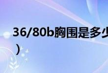 36/80b胸圍是多少（胸圍36/80是多大尺碼）