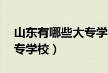 山東有哪些大專學(xué)院（山東都有哪些32的大專學(xué)校）