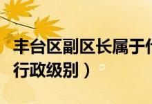 豐臺(tái)區(qū)副區(qū)長(zhǎng)屬于什么級(jí)別（豐臺(tái)區(qū)區(qū)長(zhǎng)什么行政級(jí)別）