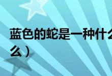 藍(lán)色的蛇是一種什么蛇（一種藍(lán)色的蛇叫做什么）