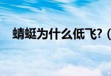 蜻蜓為什么低飛?（蜻蜓陰天為什么低飛）