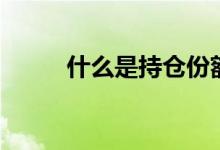 什么是持倉份額（什么是持力層）