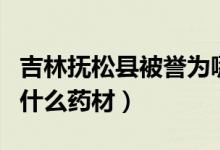 吉林撫松縣被譽為哪種藥材之鄉(xiāng)（撫松縣盛產(chǎn)什么藥材）