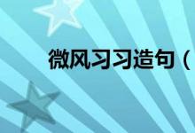 微風(fēng)習(xí)習(xí)造句（利用微風(fēng)習(xí)習(xí)造句）